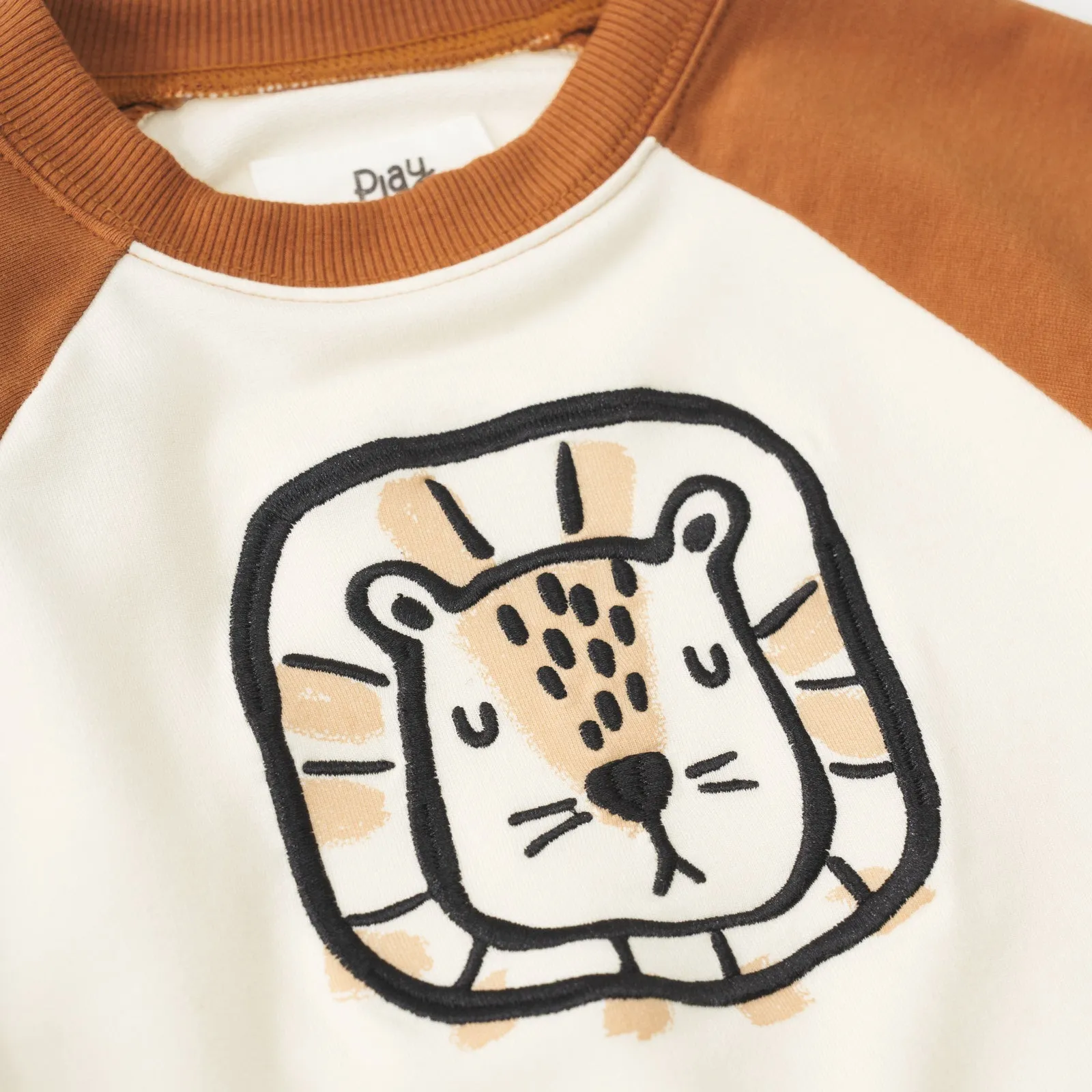 Arctic Raglan Crewneck