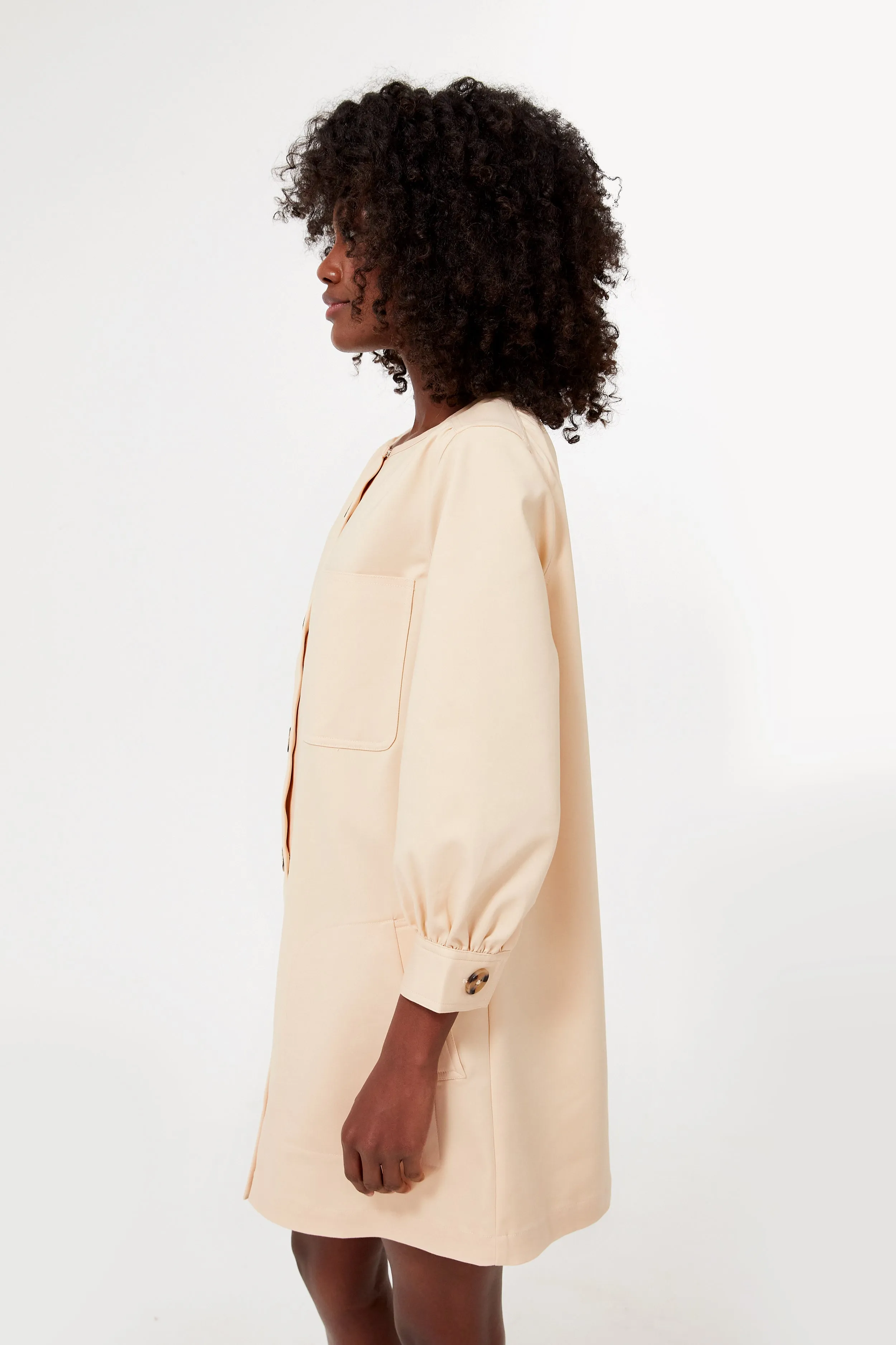 Stone Blake Dress